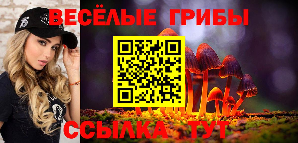 Псилоцибиновые грибы Cubensis  Псилоцибиновые грибы GOLDEN TEACHER  Невинномысск  Вход с VPN 