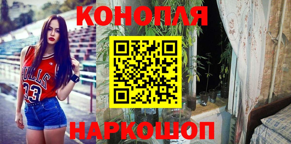 Бошки Шишки планчик Невинномысск